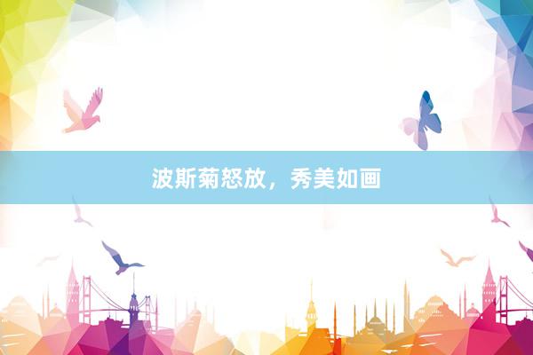 波斯菊怒放，秀美如画