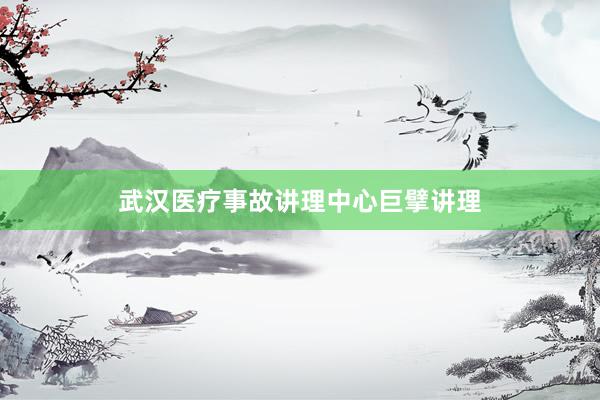 武汉医疗事故讲理中心巨擘讲理