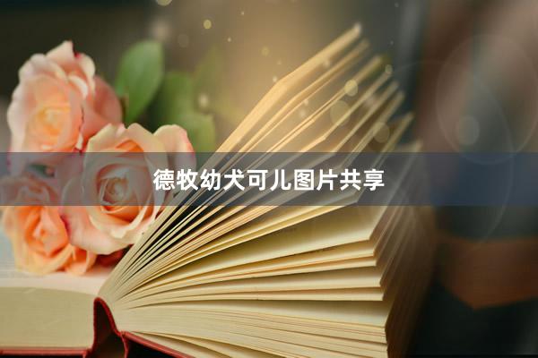 德牧幼犬可儿图片共享