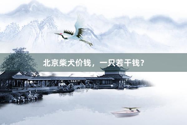 北京柴犬价钱，一只若干钱？