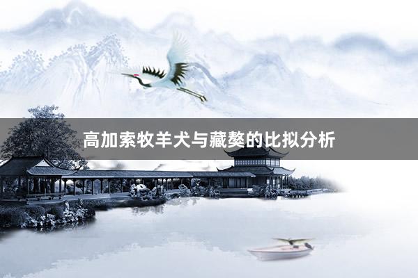 高加索牧羊犬与藏獒的比拟分析